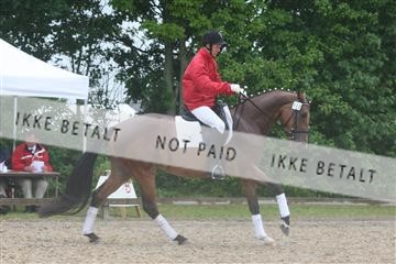 135518_ms_01_IMG_1091.JPG