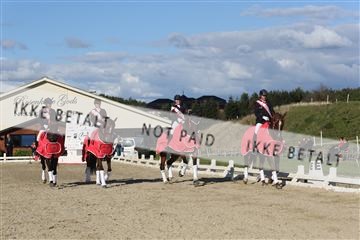148862_sg_02_IMG_4294.JPG