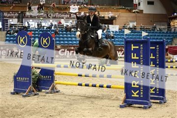 175934_avh_02_7155.JPG