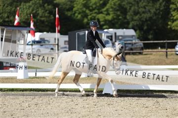 181894_mtp_05_R62_4597.JPG