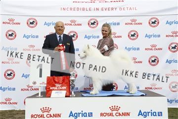 181848_kar_01__62_1039.JPG