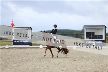 181894_mtp_04_R62_3785.JPG