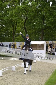 181449_kbb_04_Z094503.JPG