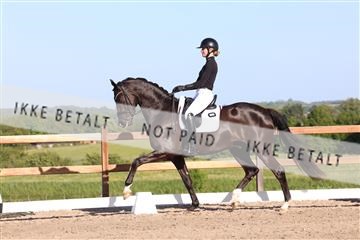 181449_bc_01R62_6340.JPG