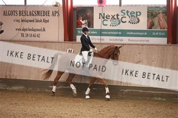 173782_mtp_01_3M5A6866.JPG