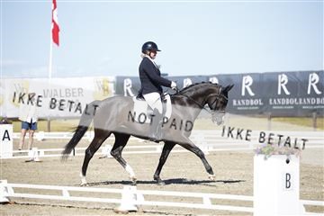 181449_kbb_01_6II9501.JPG