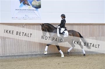 160111_nn_01__ESK1864.JPG