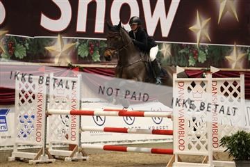 175934_avh_01_5810.JPG