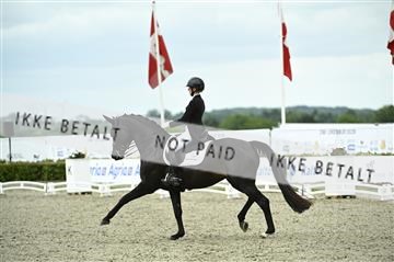 181449_kbb_03_Z091451.JPG