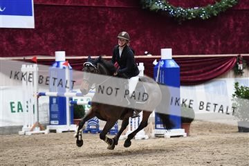 170217_abo_01_D05_5489.JPG