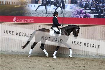 181887_mtp_02_R62_7568.JPG