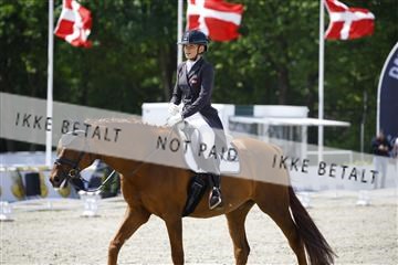 181449_kbb_02_6II0574.JPG