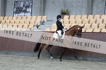 181852_mtp_01_R62_1228.JPG