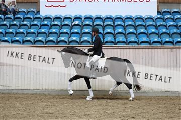 181887_mtp_05_R62_9800.JPG
