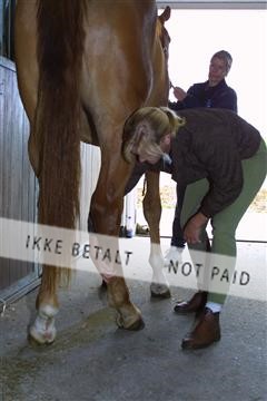 1257_04_100-0011_IMG.JPG