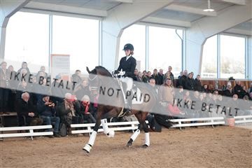 179022_kbb_01_R6II2455.JPG