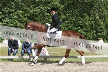 135518_ms_02_IMG_2808.JPG