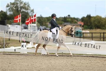 181894_mtp_03_R62_2733.JPG