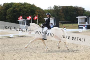 181894_mtp_02_R62_1057.JPG