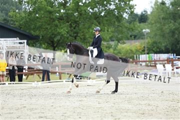 181923_mtp_01_R62_6735.JPG