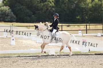 181894_mtp_02_R62_2038.JPG