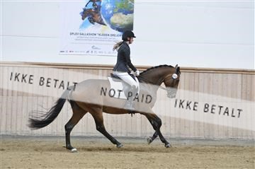 160111_nn_01__ESK1933.JPG