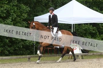 135518_ms_01_IMG_1497.JPG