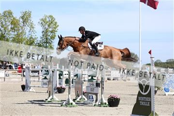 181436_avh_02_3811.JPG