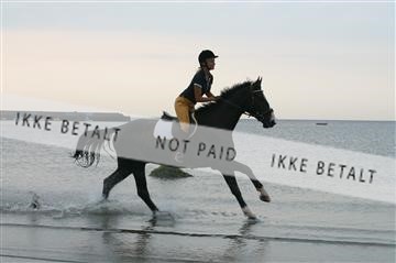 110-1044_IMG.JPG