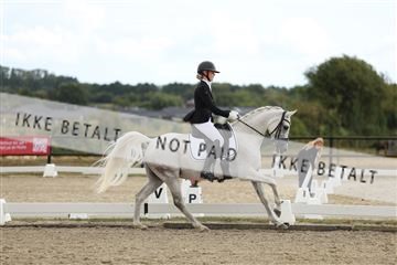 181894_mtp_03_R62_2476.JPG