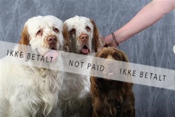 129608_le_ 01_0710.JPG