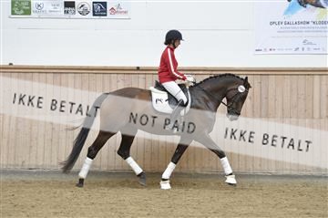 160111_nn_01__ESK1578.JPG