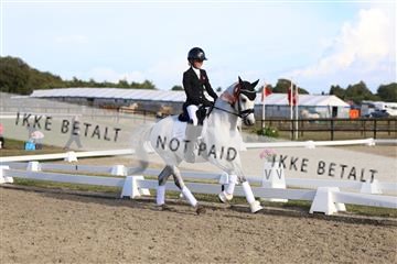 181894_mtp_05_R62_5861.JPG