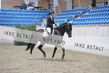 160111_nn_01__ESK1460.JPG