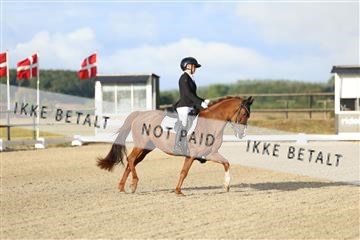 181894_mtp_04_R62_3069.JPG