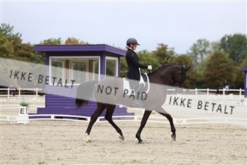 181923_mtp_01_R62_6372.JPG
