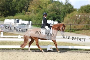 181894_mtp_05_R62_4533.JPG