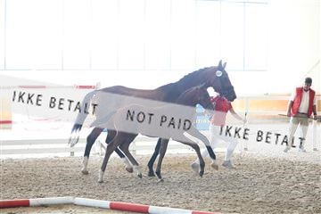 181756_mtp_03_R62_2141.JPG
