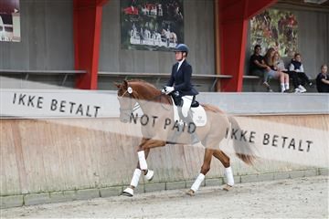 181867_mtp_02_R62_4419.JPG