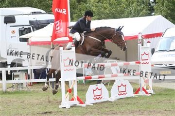 5925_ma_05_IMG_1333.JPG
