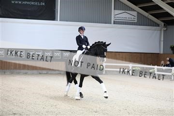 179088_mtp_01_3M5A3194.JPG