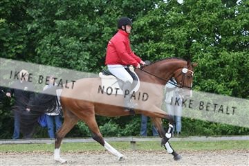 135518_ms_01_IMG_0973.JPG