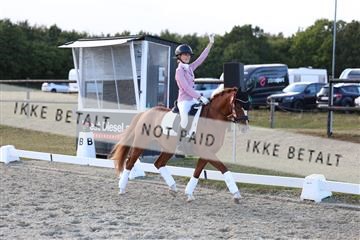 181894_mtp_05_R62_5725.JPG