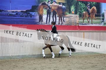 181887_mtp_02_R62_7678.JPG