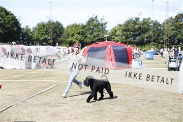 181848_kar_01__62_3089.JPG
