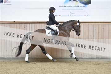 160111_nn_01__ESK1637.JPG