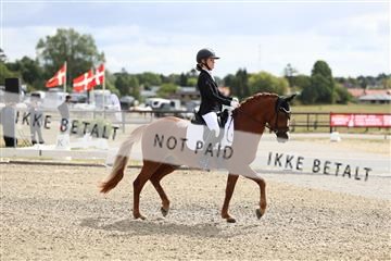 181894_mtp_02_R62_1241.JPG