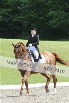 135676_sg_01_IMG_8040.JPG