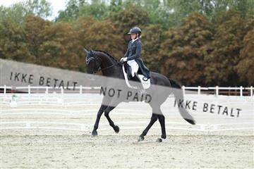 181923_mtp_01_R62_6961.JPG