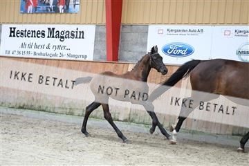 181868_mtp_03_R62_5718.JPG